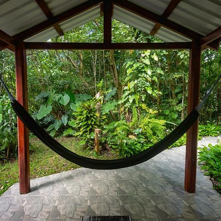 Cabanas Valle Campanas - Monteverde, Costa Rica Luaran gambar